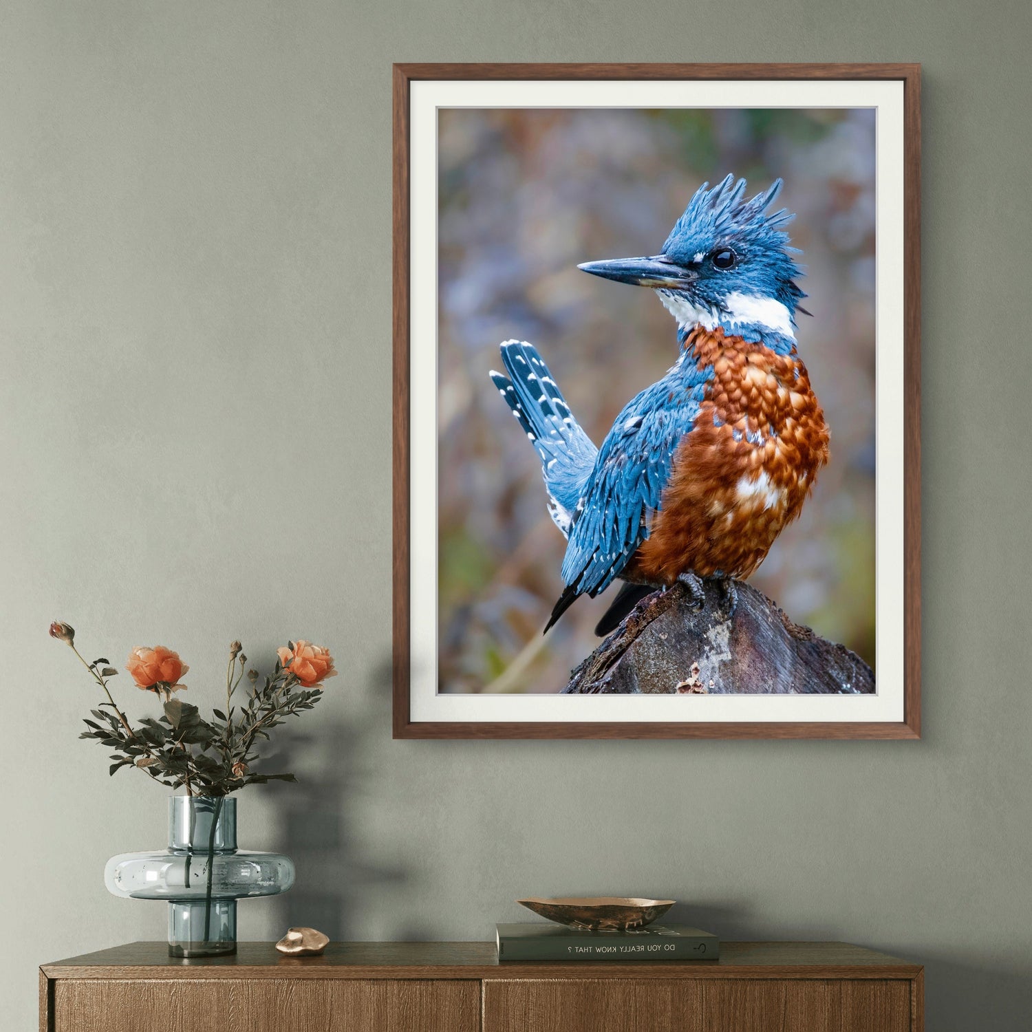 Aves de Chile