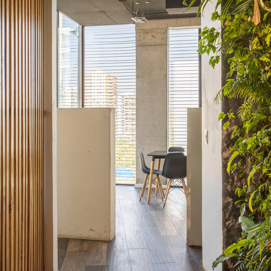 Fotografía Inmobiliaria